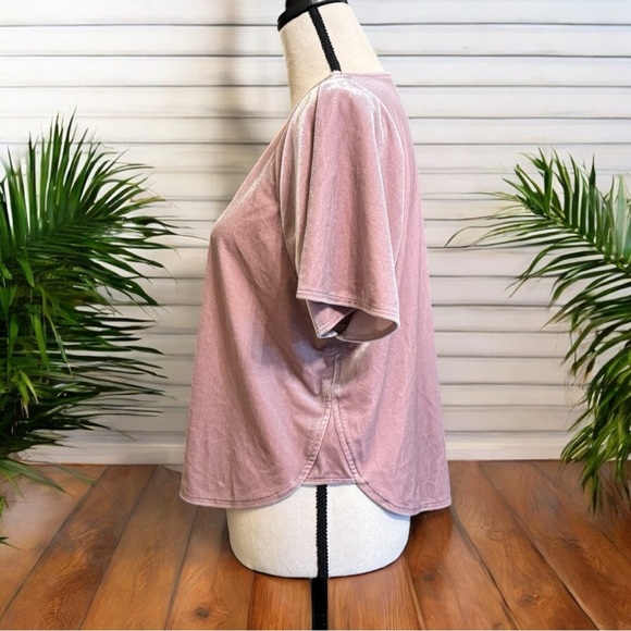 MADEWELL Blush Pink Velvet Butterfly Sleeve Top - Small - Picture 5 of 13